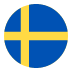 瑞典技术